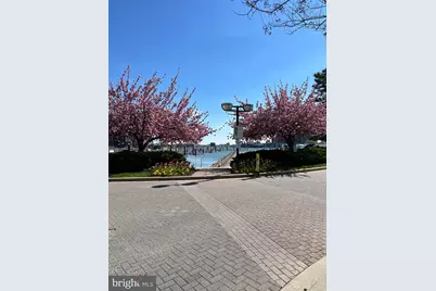 1254 Harbor Island Walk, Baltimore, MD 21230 - Photo 43