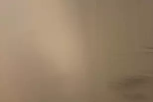 709 Augusta, Baltimore, MD 21229 - Photo 3