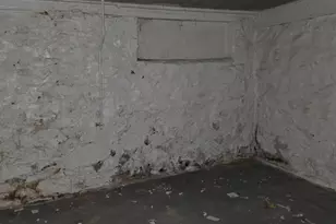3 S Monastery Ave, Baltimore, MD 21229 - Photo 13