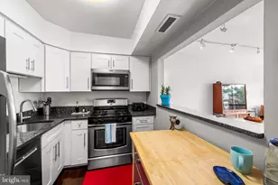 1 Hamill Ct, Baltimore, MD 21210 - Photo 7