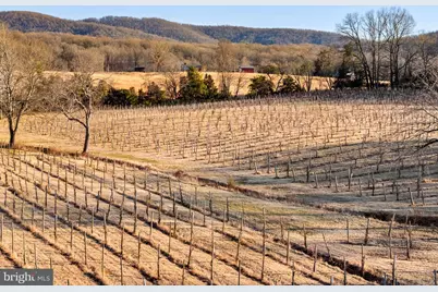4500 Winery Lane, Barboursville, VA 22923 - Photo 17