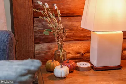 3169 Millie Lane, Charlottesville, VA 22911 - Photo 15