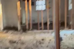 4663 Presidents Rd, Scottsville, VA 24590 - Photo 3