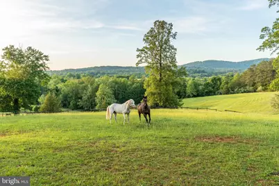 1636 Milton Road, Charlottesville, VA 22902 - Photo 61