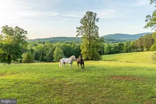 1636 Milton Rd, Charlottesville, VA 22902 - Photo 61