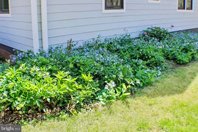 3809 Reas Ford Lane, Earlysville, VA 22936 - Photo 25