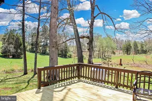 3809 Reas Ford Ln, Earlysville, VA 22936 - Photo 13