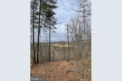 Estaline Valley Road, Craigsville, VA 24430 - Photo 5