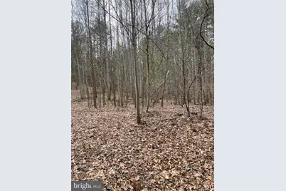 Estaline Valley Road, Craigsville, VA 24430 - Photo 3