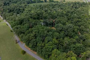 55 Burke's Mill Rd, Weyers Cave, VA 24486 - Photo 57