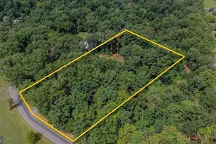55 Burke's Mill Rd, Weyers Cave, VA 24486 - Photo 5