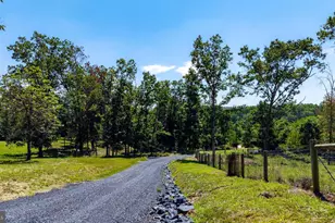75 Brushy Knob Ln, Staunton, VA 24401 - Photo 81