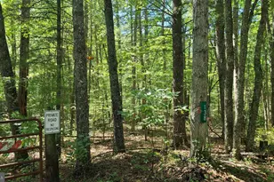 208 Jake's Ln, Deerfield, VA 24432 - Photo 33