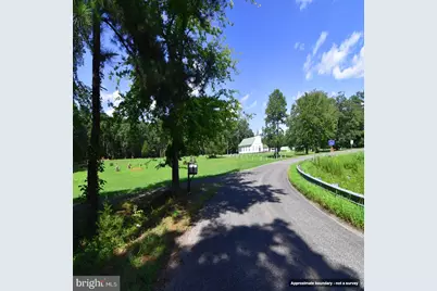 Mount Olive Lane, Amelia Court House, VA 23002 - Photo 11