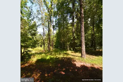 Mount Olive Lane, Amelia Court House, VA 23002 - Photo 5