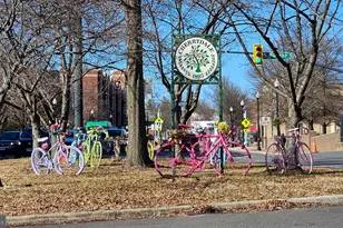 2337 N Fillmore Street N, Arlington, VA 22207 - Photo 59