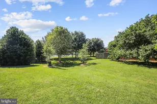 4426 36th St S, Arlington, VA 22206 - Photo 39