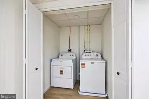 3713 Nelly Custis Dr, Arlington, VA 22207 - Photo 55