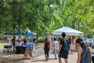 1016 S Wayne St, Arlington, VA 22204 - Photo 29