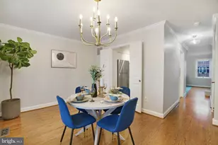 3351 5th St S, Arlington, VA 22204 - Photo 19