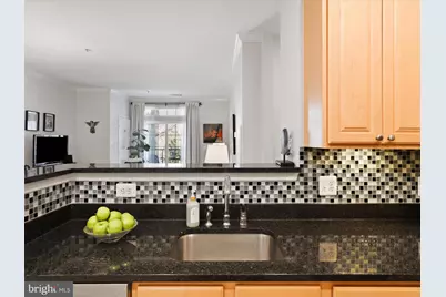 2465 Army Navy Drive #1-203, Arlington, VA 22206 - Photo 7