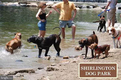 2118 S Quincy Street, Arlington, VA 22204 - Photo 53