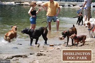 2118 S Quincy St, Arlington, VA 22204 - Photo 53