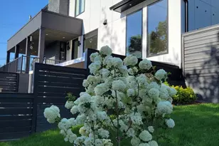 3431 14th St N, Arlington, VA 22201 - Photo 65