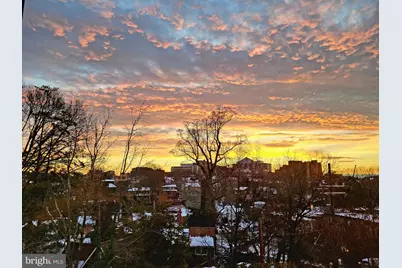 3431 14th Street N, Arlington, VA 22201 - Photo 49