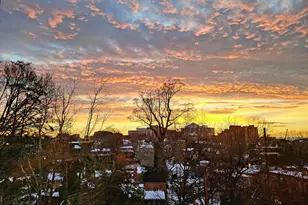 3431 14th St N, Arlington, VA 22201 - Photo 49