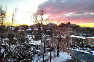 3431 14th St N, Arlington, VA 22201 - Photo 47