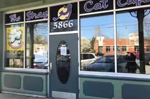 911 N Lexington St, Arlington, VA 22205 - Photo 25