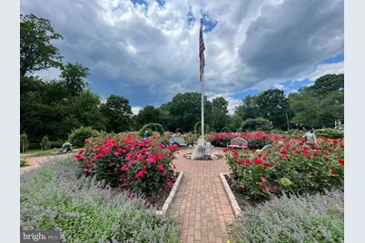 911 N Lexington Street, Arlington, VA 22205 - Photo 7