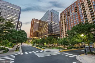 3650 S Glebe Rd, Arlington, VA 22202 - Photo 45