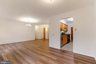 5101 8th Road S, Arlington, VA 22204 - Photo 13