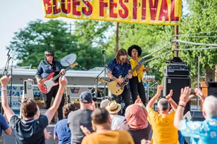 2137 S Pollard St, Arlington, VA 22204 - Photo 17