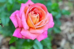 1925 N Westmoreland St, Arlington, VA 22213 - Photo 45