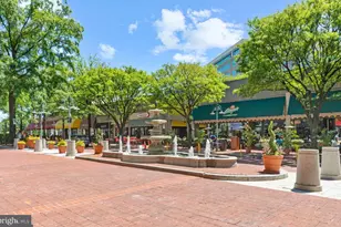 3013 S Buchanan St, Arlington, VA 22206 - Photo 33