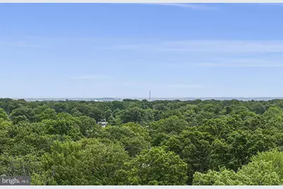 4141 N Henderson Road #1023, Arlington, VA 22203 - Photo 5