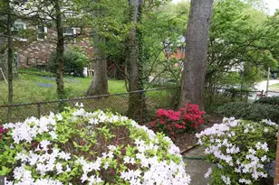 6052 6th St N, Arlington, VA 22203 - Photo 31