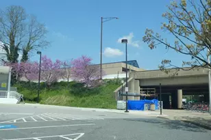 2115 N Potomac St, Arlington, VA 22205 - Photo 31