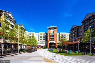 3600 S Glebe Rd, Arlington, VA 22202 - Photo 35