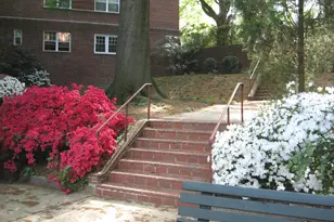 1320 Fort Myer Dr, Arlington, VA 22209 - Photo 27