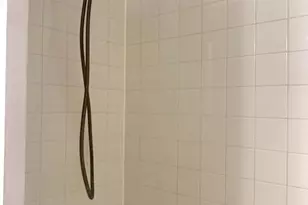 738 N Wakefield St, Arlington, VA 22203 - Photo 21