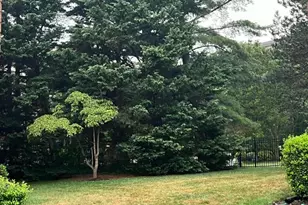 6 S Montague St, Arlington, VA 22204 - Photo 31