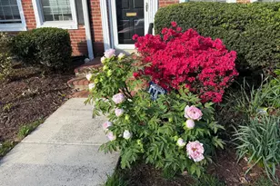 2906 S Buchanan St, Arlington, VA 22206 - Photo 31