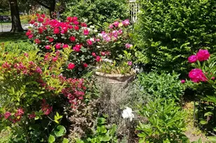 2501 N Underwood St, Arlington, VA 22213 - Photo 45