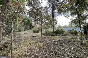 3637 38th St N, Arlington, VA 22207 - Photo 27