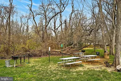 1503 S George Mason Drive #23, Arlington, VA 22204 - Photo 29