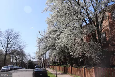 942 S Rolfe Street, Arlington, VA 22204 - Photo 27